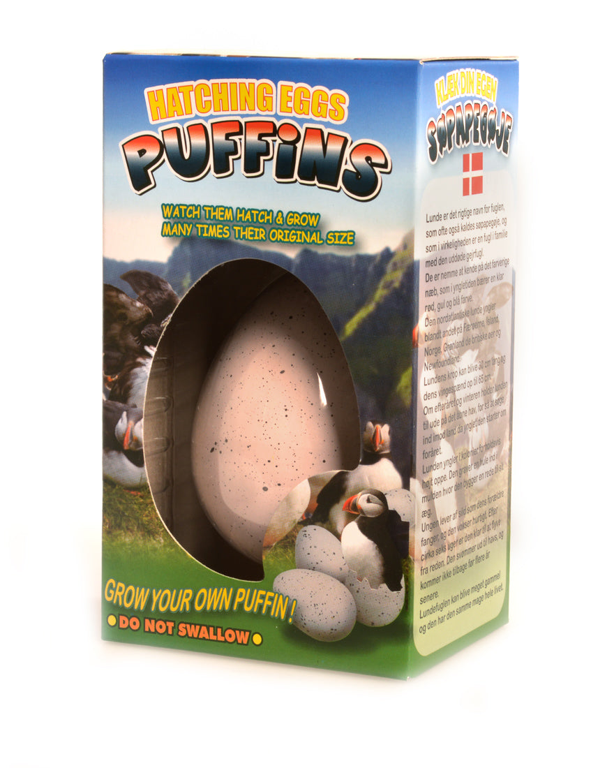 Puffin Egg