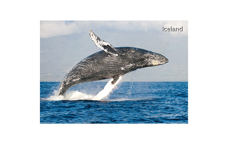 Humpback Whales Salt and Pepper Shakers